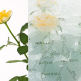 teilflächig satiniertes Glas
