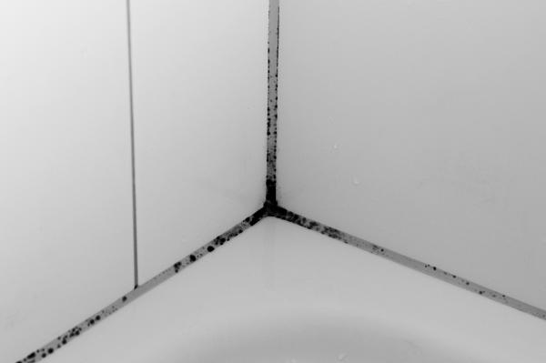Schimmel in der Eckduschkabine